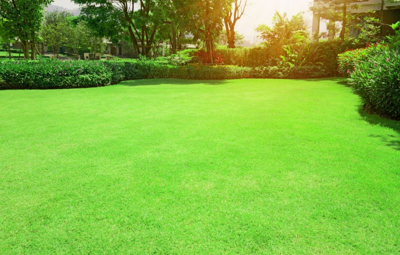Residential Lawn Makeover